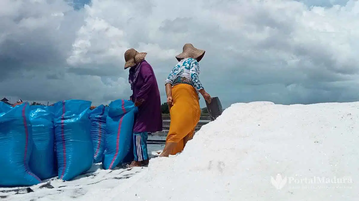 KW-1,-Harga-Garam-Petani-Capai-Rp500-Ribu-per-Ton