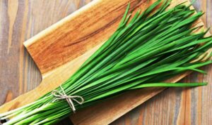 Manfaat Daun Kucai Untuk Kesehatan