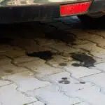 Oli Rembes dari Ruang Mesin? Jangan Diabaikan, Ini Bahayanya