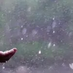 Prakiraan Cuaca Sumenep, Siang hingga Sore Hujan Ringan