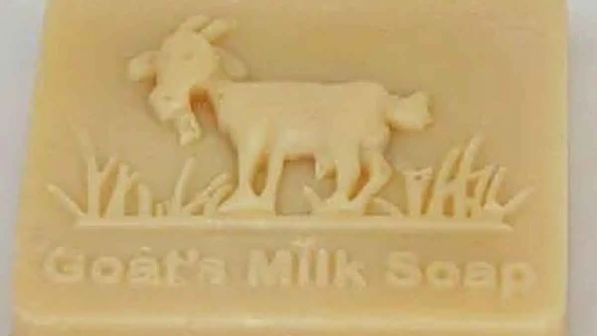 5 Khasiat Sabun Susu Kambing bagi Kecantikan