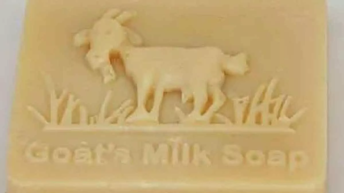 5 Khasiat Sabun Susu Kambing bagi Kecantikan
