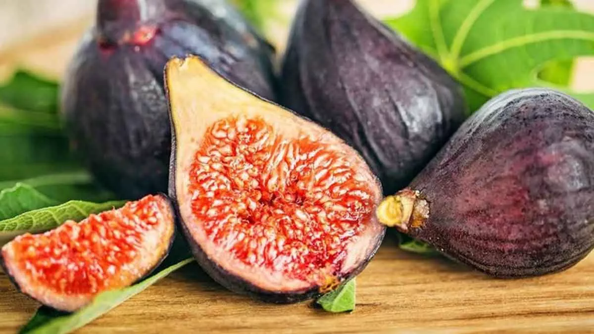 Buah Tin, Buah Sejuta Manfaat
