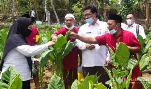 Persyaratan Penerima BLT Buruh Tani dan Pabrik Rokok di Sumenep