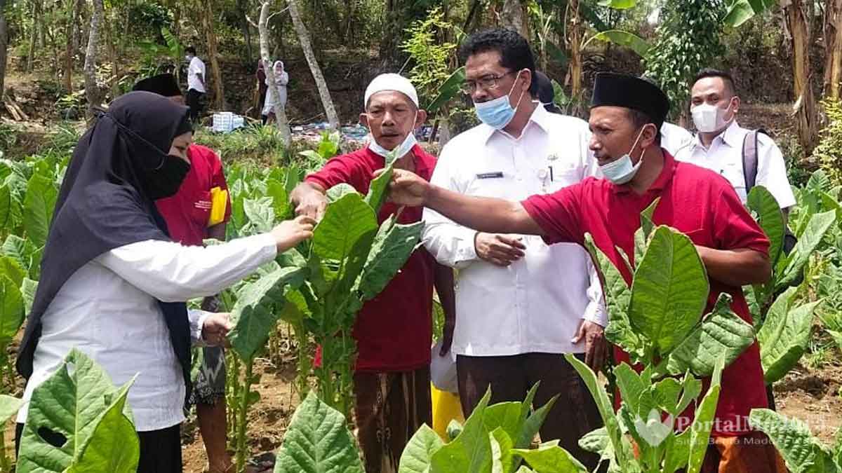 Persyaratan Penerima BLT Buruh Tani dan Pabrik Rokok di Sumenep