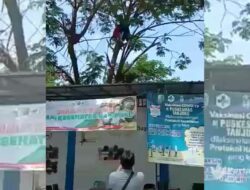 Pria Tewas Kesetrum di Atas Pohon
