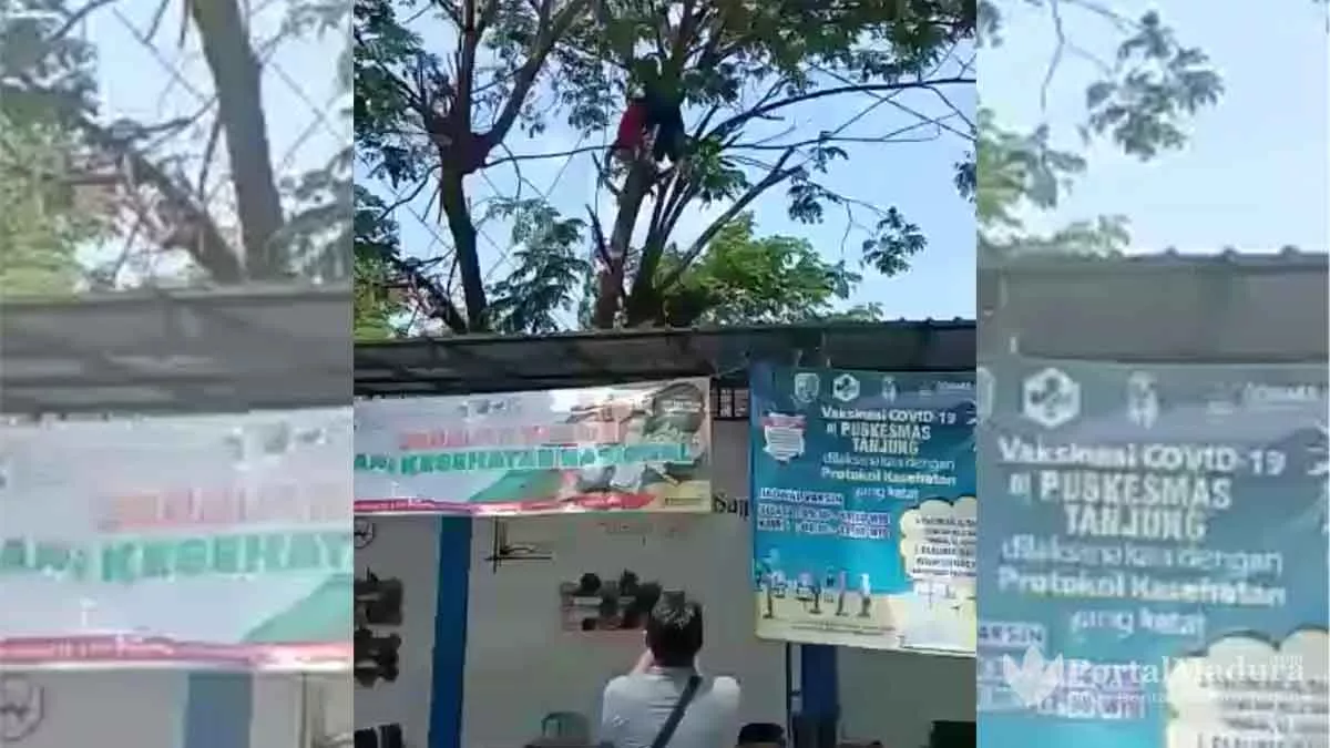 Pria Tewas Kesetrum di Atas Pohon