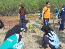 Hari Pohon Sedunia, Siswa & KPMM Sumenep Tanam 500 Bibit Mangrove di Pesisir Desa Tanjung