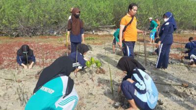 Hari Pohon Sedunia, Siswa & KPMM Sumenep Tanam 500 Bibit Mangrove di Pesisir Desa Tanjung