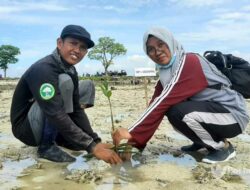 Hari Ibu, 250 Relawan Tanam 10 Ribu Mangrove di Pantai Morron Sumenep