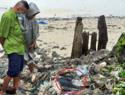 Penemuan Mayat Separuh Badan di Pinggir Pantai Masalima Masalembu