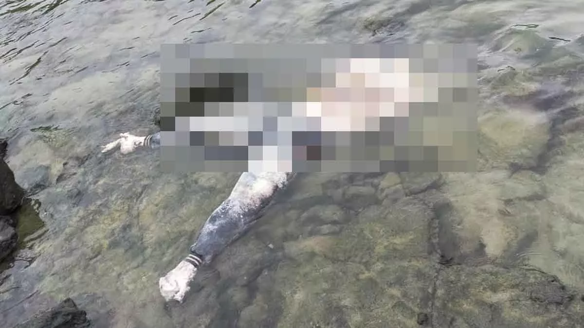 Mayat Tanpa Kepala di Pantai Desa Masalima Masalembu