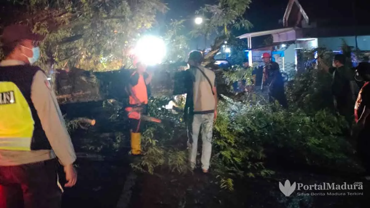 Pemotor Patah Tulang, Tabrak Pohon Tumbang di Jalan Raya Tanjung
