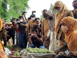 Gubernur Jatim Dorong Budidaya Srikaya di Sumenep