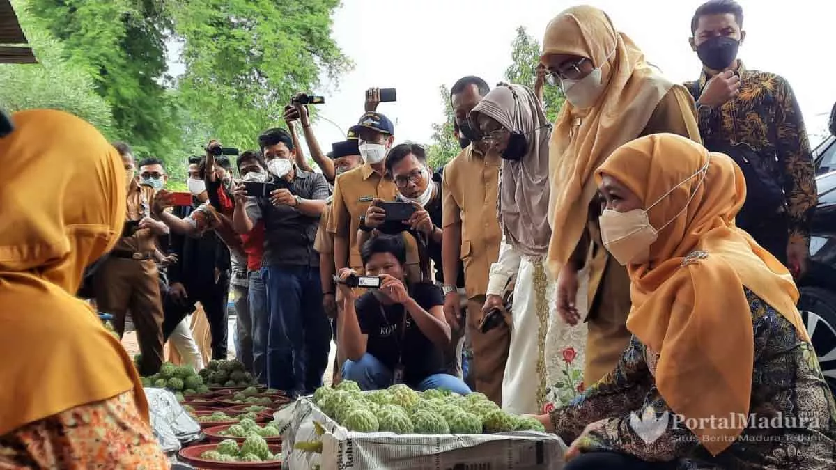 Gubernur-Jatim-Dorong-Budidaya-Srikaya-di-Sumenep
