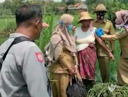 Tim Vaksinator “Terjun” ke Sawah, Akhir Januari Sumenep Ditarget Capai 70 Persen