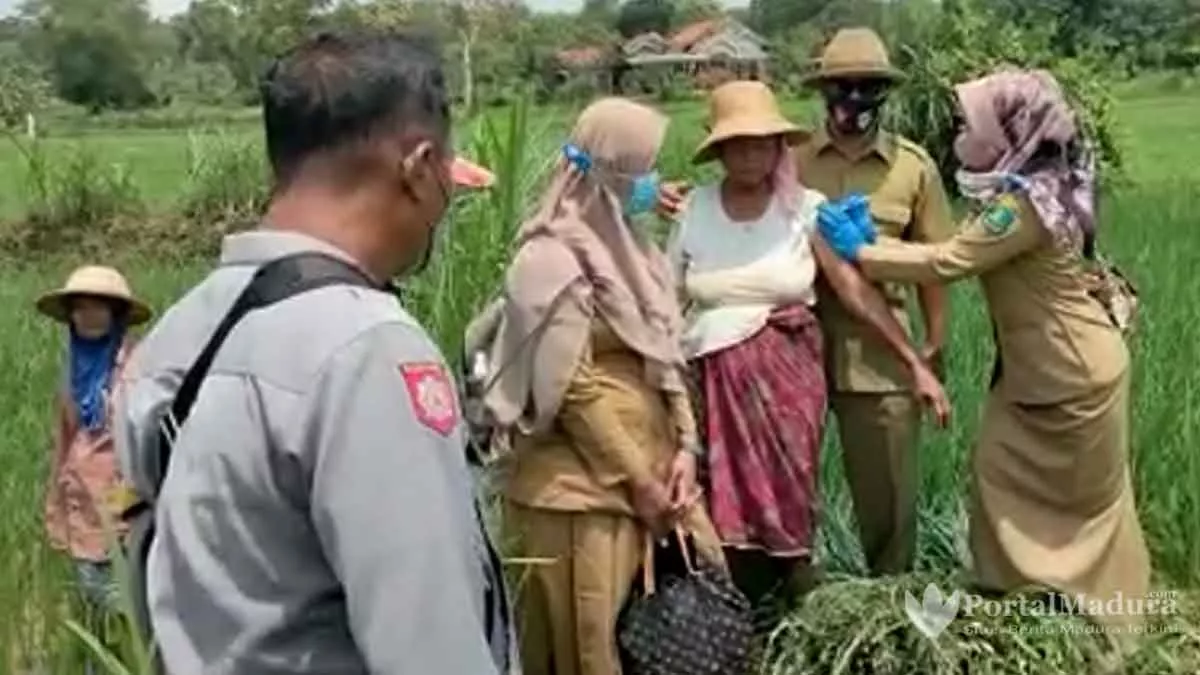 Tim Vaksinator “Terjun” ke Sawah, Akhir Januari Sumenep Ditarget Capai 70 Persen
