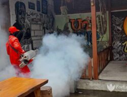 Awal Tahun 2022 Kasus DBD di Sampang Capai 37 Orang