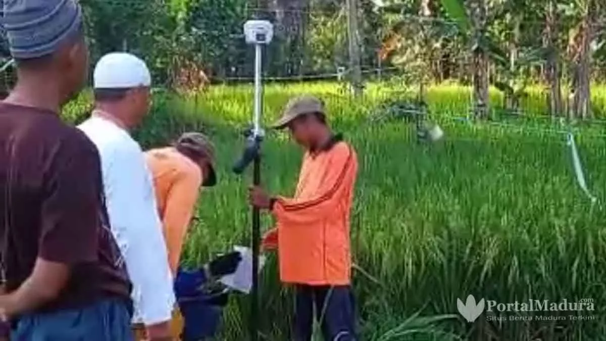 Berjibaku Ukur Tanah, Pemerintah Desa Juruan Laok Programkan 100 Persen Tanah Warga Bersertifikat
