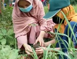LDII Sumenep Tanam 3 Ribu Bibit Pohon