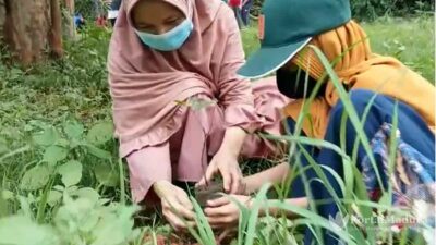 LDII Sumenep Tanam 3 Ribu Bibit Pohon