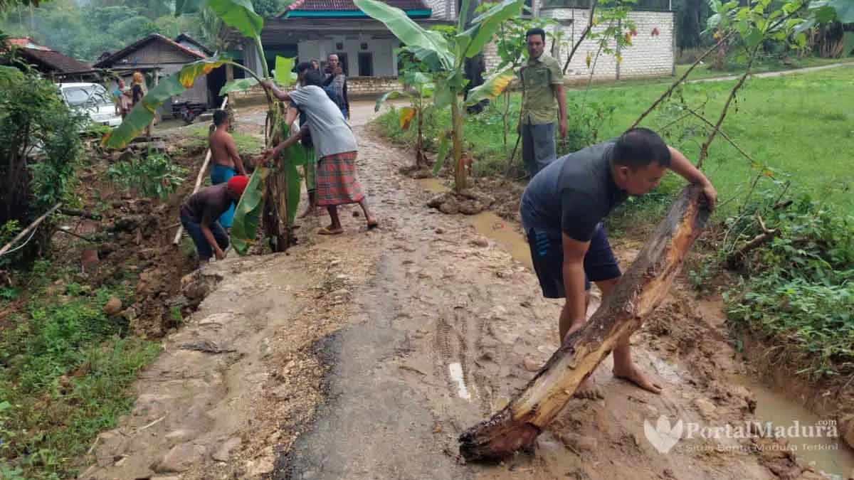Tanda Bahaya, Warga Tanam Pohon Pisang di Jalan Poros Desa Karduluk Sumenep
