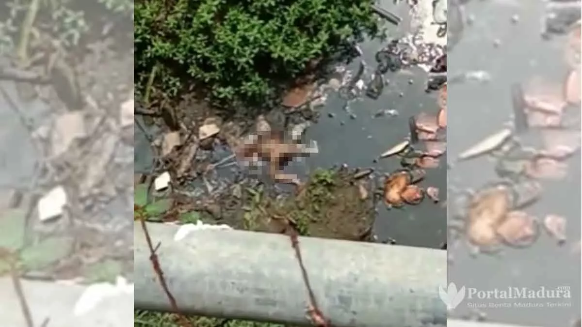 Sudah Sepekan, Identitas Ortu Bayi Membusuk Masih Buram