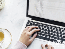 4 Cara Mudah Cek KK Online