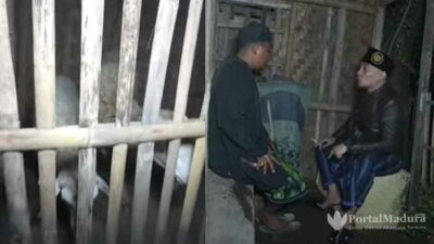 Edan, Pria Ini Kiku-kiku dengan Kambing Malah Gancet