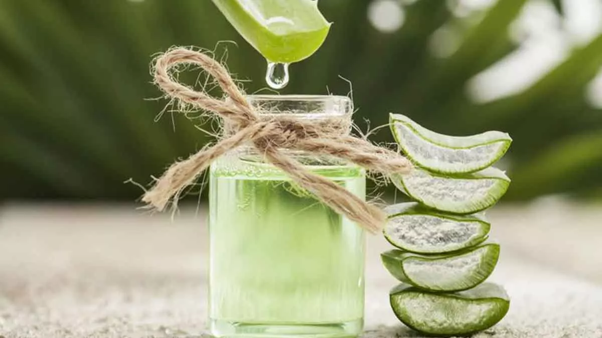 7 Bahan Alami yang Dipercaya sebagai Penyubur Rambut