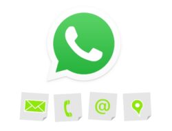 Cara Menghapus Kontak WhatsApp Mudah dan Aman