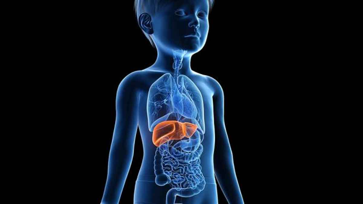 Hepatitis Akut Misterius Serang Anak, Masyarakat Tak Perlu Panik