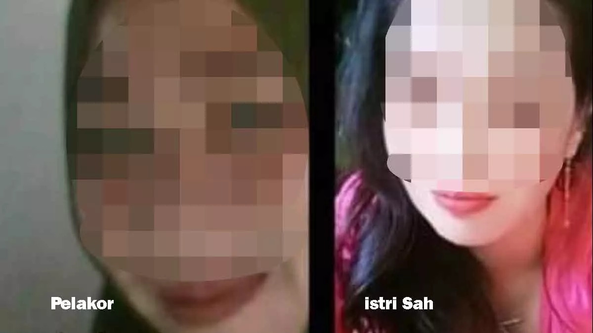 Istri Sah 2 Anak, Suami Kepincut Pelakor 1 Anak