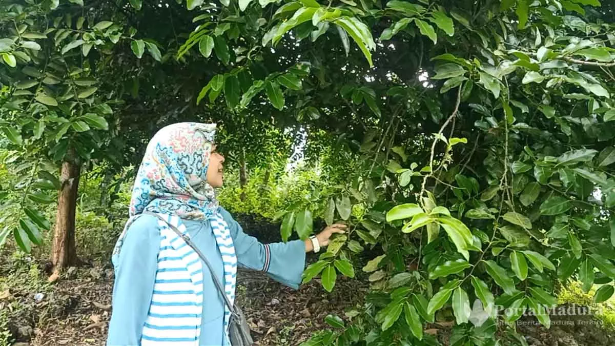 Misteri Bunyi Gamelan di Bekas Keraton Batuputih, Muncul pada Pasaran Legi