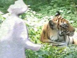 Misteri Bayangan Kakek Bersorban di Bekas Keraton Batuputih