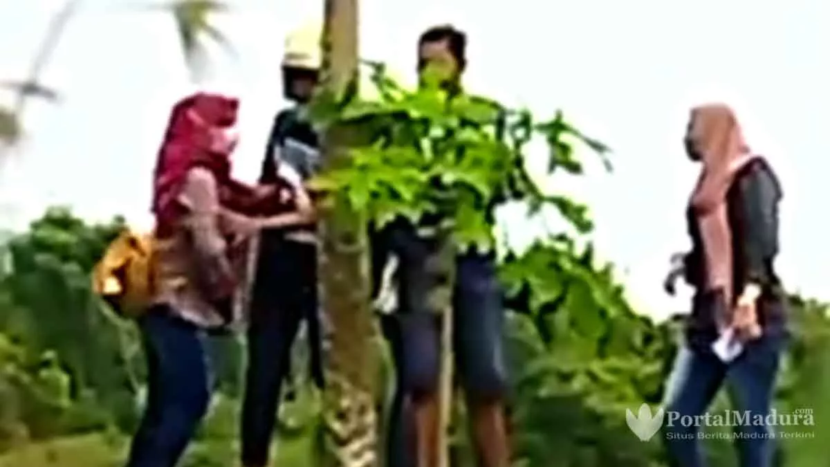 Viral Pelakor asal Batuputih Sumenep Dilabrak Istri Sah