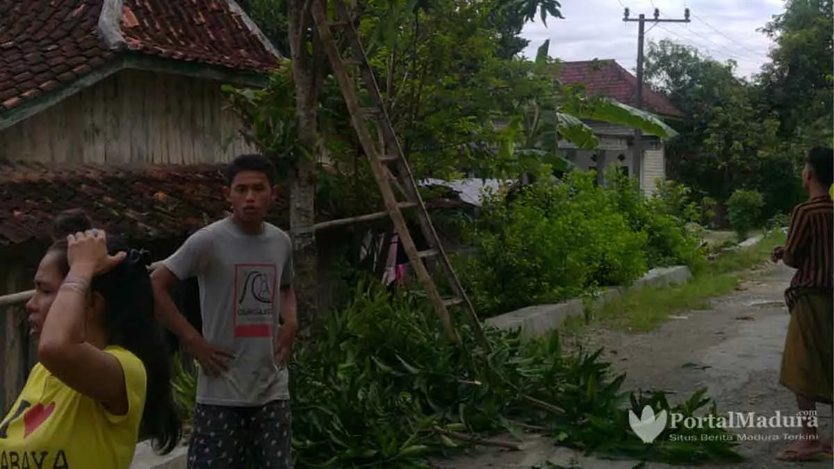 Potong Ranting Pohon, Warga Sampang Tewas Kesetrum Listrik