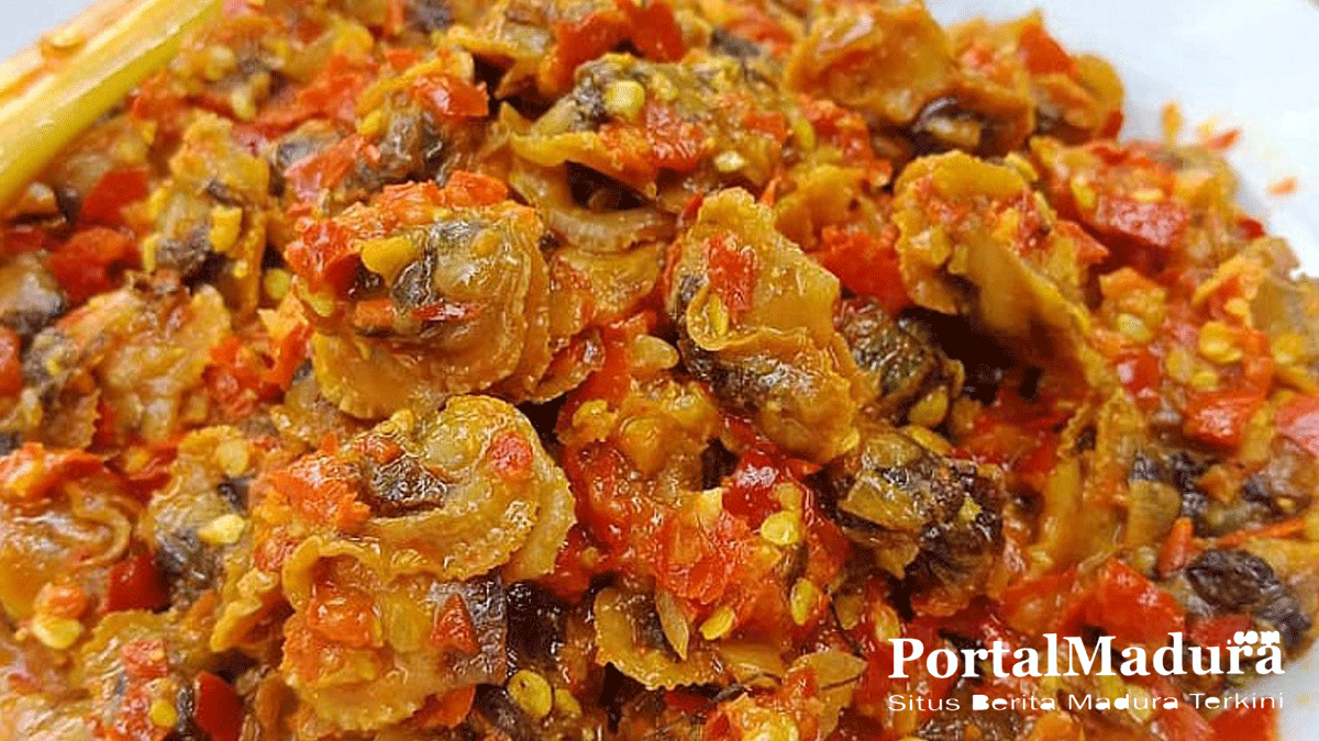Resep Kerang Dara Kupas Saus Padang yang Pedas dan Gurih