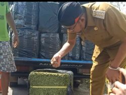 Pasar Eropa Menunggu, Protein Daun Kelor Sumenep Terbaik di Indonesia
