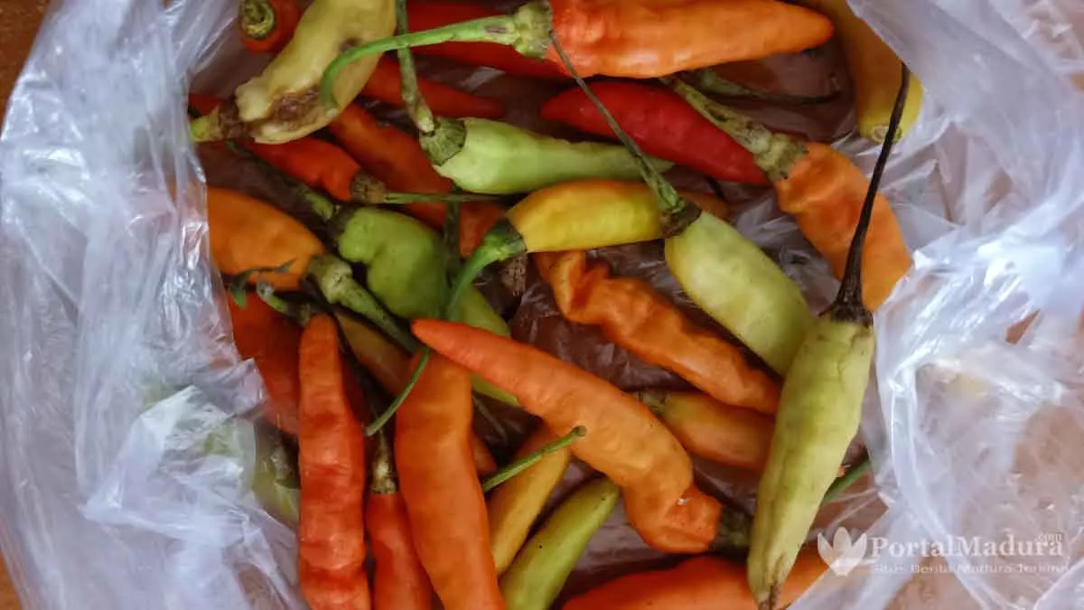 Harga Cabai Amat Pedas di Pasar Anom Sumenep