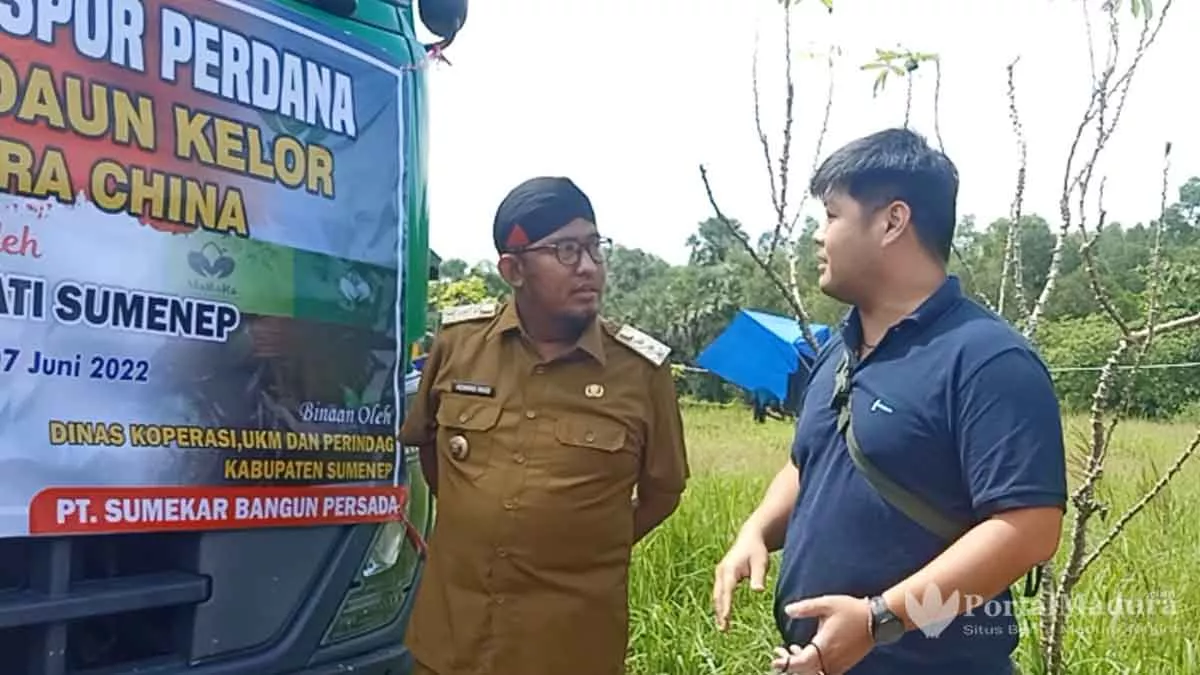 Negara China Butuh Daun Kelor Sumenep Capai 15 Kontainer Tiap Bulan