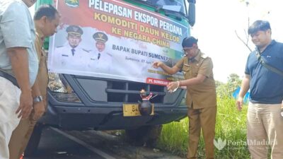 Perdana, Bupati Fauzi Pecah Kendi Tandai Ekspor Komoditas Daun Kelor ke China