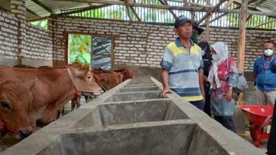 Sumenep Bentuk Satgas PMK, Aktifkan 2 Posko Penyekatan Hewan