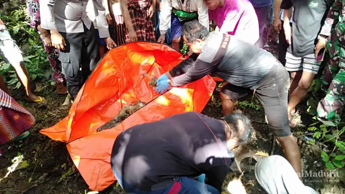 Pencari Musang Temukan Tengkorak Manusia di Hutan Jati Ellak Daya Sumenep