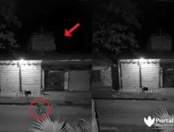 Cek Fakta: Viral Video Pria Diganggu Sosok Kuntilanak Pasar Anom Sumenep?