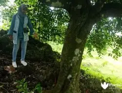 Ngalap Berkah di Bekas Keraton Batuputih Sumenep