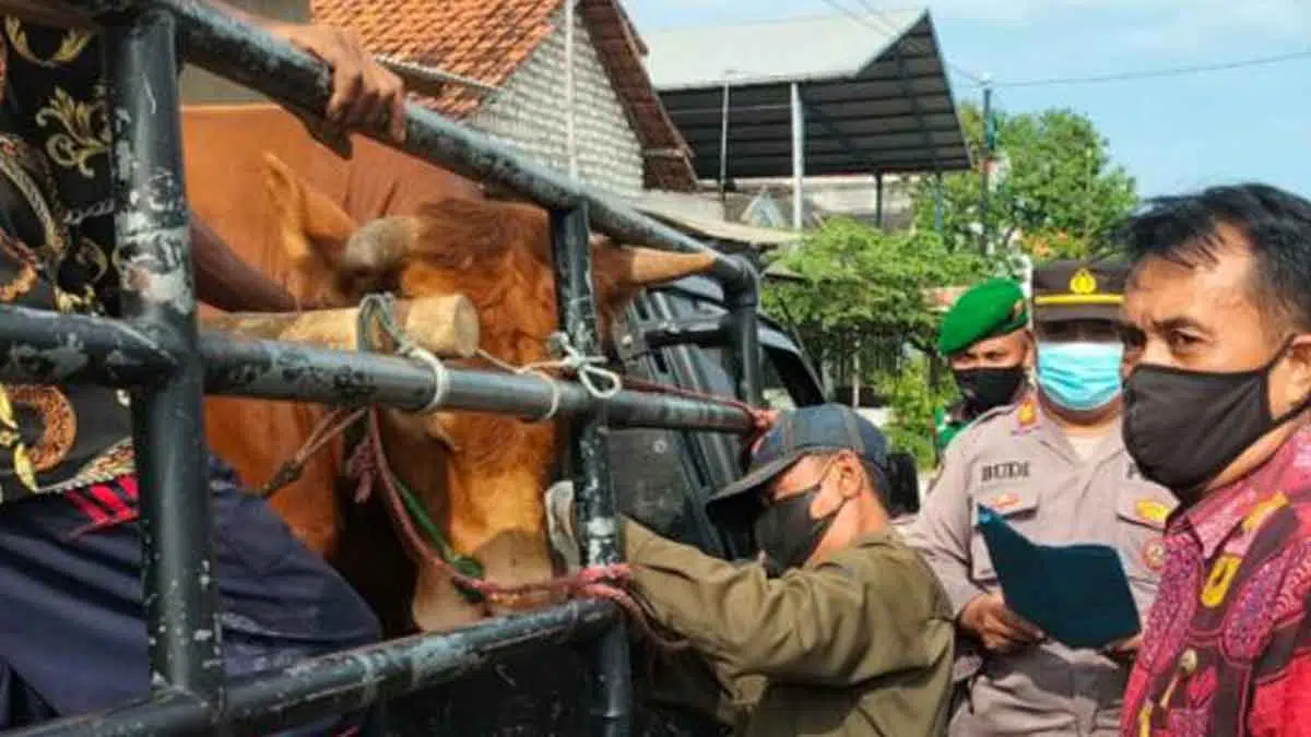 Petugas Gabungan di Sampang Sekat Kendaraan Angkutan Sapi