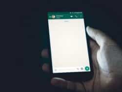WhatsApp Akan tambah Fitur Fitur Sembunyikan Status Online
