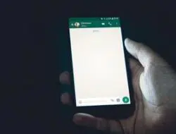 WhatsApp Akan tambah Fitur Fitur Sembunyikan Status Online