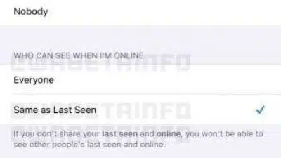 fitur last seen dan status online (1)